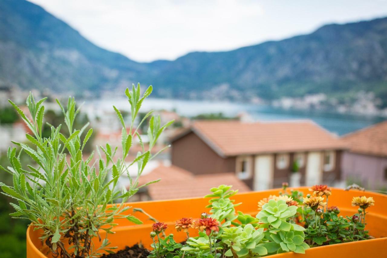 St Duke Apartment Kotor Exteriör bild